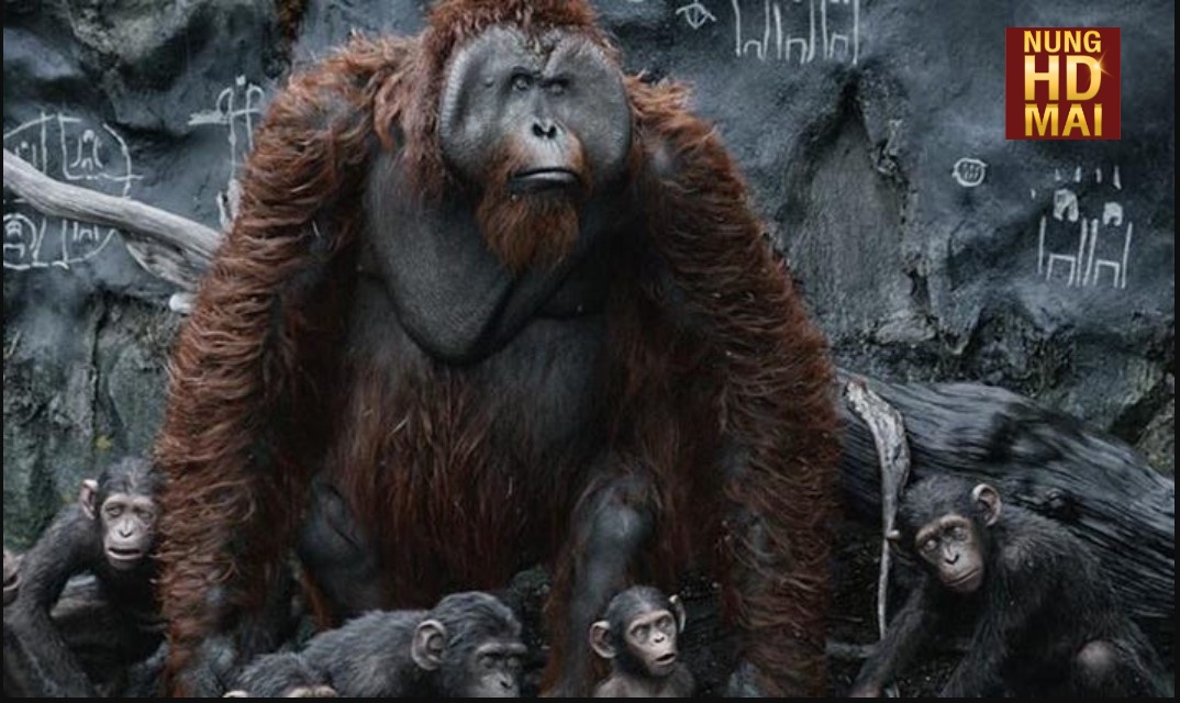 รีวิวหนัง กำเนิดพิภพวานร Rise of the Planet of the Apes